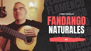 🔥Fandangos Naturales desde Cero: Cierre introducción y aviso al cante | Tutorial Fandango Nº 5