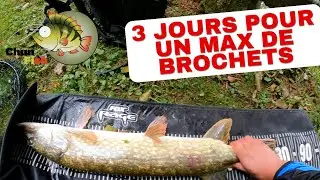 P&ecirc;che du BROCHET en Etang ! 🎣🔥 #Pike