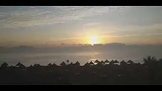 World Youth Forum Egypt Sharm El-Sheikh 2019