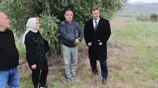 Zeytin ağcı bakımı nasıl olmalı leonardit ve humik asit farkı. 05356660880