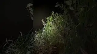 Carprun Compilation