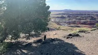 Petrified Forest NP, AZ