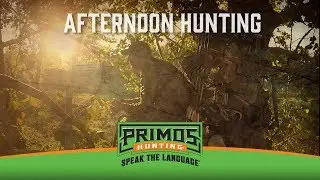 Afternoon Hunting in the Early Season for Deer