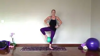 At Home Barre Workout Clip