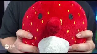 Steak loses his strawberry elephant and starts crying