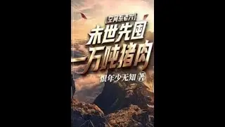 Chinese network novel, 