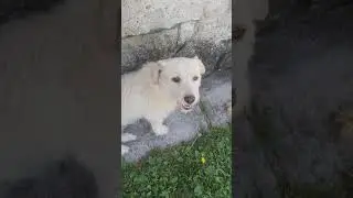 mony&oacute; &eacute;s pindi foglalkoz&aacute;sai