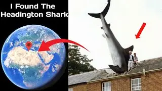 Omg! Found The Headington Shark On Google Earth