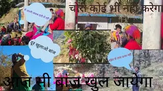 बांज खुल गया आज से  इस बार नज़दीक से दूर की ओर खुला हे लड़कियों का अपना बयान और सरपंज का अपना 🤣😂🤣