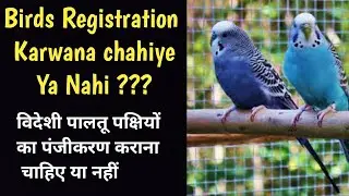 Birds Registration karwana hai ya nahi Full Details