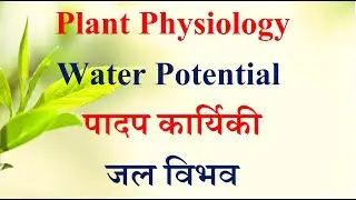 Plant Physiology/पादप कार्यिकी - Water Potential/जल विभव | JRF, Pre-PG, NEET, PMT, AFO, FCI |