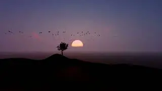 Relaxing Sleep Music - Deep Sleeping Music, #relaxing  Music, Meditation Music #motivation |