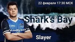 CemaTheSlayer: На LAN Effect просто убили