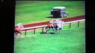 GUNSYND winning the 1973 Queen Elizabeth Stakes at Flemington