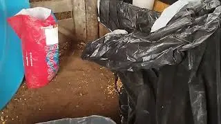 Como confinar gado em pequenos espa&ccedil;o 3.