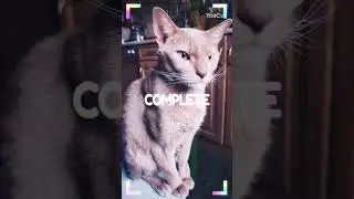 Ретро коть 