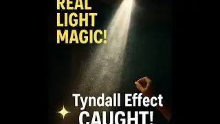 🌞 Magical Sunlight Beam Reveals Tyndall Effect with Chalk Dust! ✨ | @PHYSICSGRAVITY1996