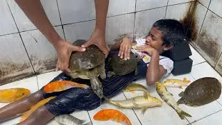 Pretty Girl Cleaning Tortoise Aquarium (4K Ultra HD Fish Tank Changing Water)