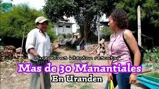 RAZONES PRINCIPALES PARA DARLE MANTENIMENTO AL LAGO DE PATZCUARO DESDE URANDEN DE MORELOS MICH