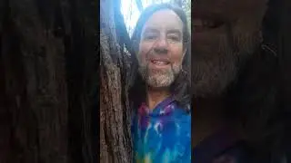 For-rest Bathe-ing (Feb.24 2025)#barefoot #barefootlife #organichealing #nature #foresthikes