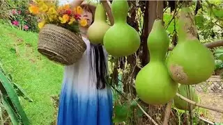 Enjoy beautiful nature with rural life 395 # MP Fresh #fruit #countrylife #farming #freshvegetables