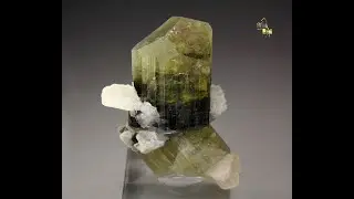 #22272 - TOURMALINE var. ELBAITE, ALBITE, Stak Nala, Pakistan