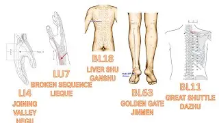 LAMP ACUPUNCTURE 08: Five Shu Points According to Five Elements, LI4, LU7, BL18, REN12, BL63, BL11