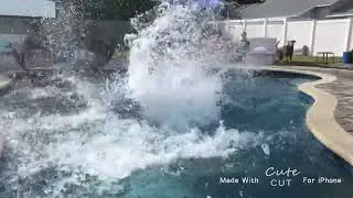 Cannon Ball