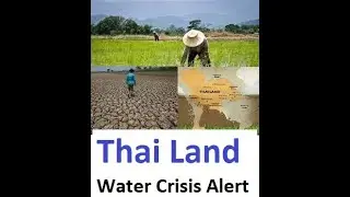 August 2023: Thailand's Water Crisis Reshaping the Global Rice Market- LOW RAINFALL