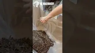 Biomass Pellet Mill for Wood Agricultural Waste and Renewable Energy Production #pelletmachine
