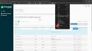How to Add DNS Records in cPanel | TXT Records | A Record | MX Record