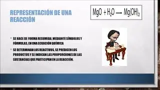 Reacciones exergonicas