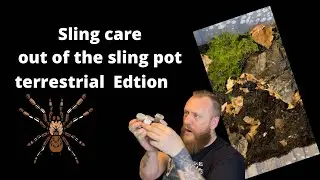 Sling care the next stage