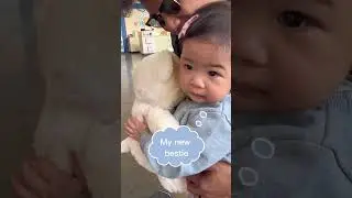 1 year old baby pays $1 at Build-a-Bear #ariasadventures #babylearning #cutebaby #baby #buildabear