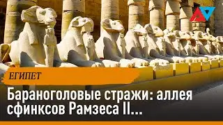 Бараноголовые стражи: аллея сфинксов Рамзеса II