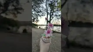 Oh Bloom - Bring Sunshine where you go