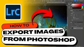 How to Export Images from PHOTOSHOP to LIGHTROOM (And Vice Versa)