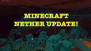 Minecraft Nether Update! What I think about it! #Minecraft #Nether