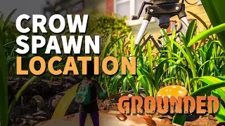 Crow Grounded Location