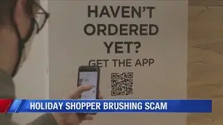 Holiday shopper brushing scam