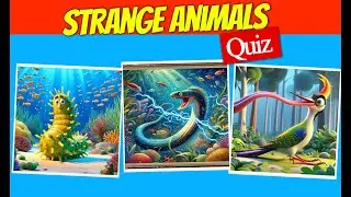 Rare Animals Quiz | Can You Guess The Answers to These Unique Creatures? | Quiz Challenges