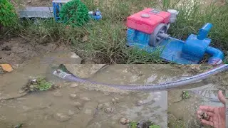 Amazing Diy mini water pump, Let the water snatch the snail#shorts #subscribe #fishing @Life Farmer