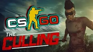 CSGO \\ The Culling \\ Arena Survival