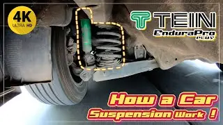 (4K)  How a car suspension system works  TEIN Endura Pro Plus for CIVIC