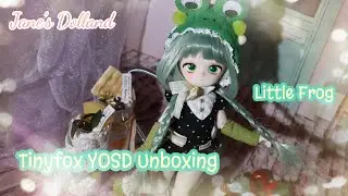 Tinyfox Little Frog Unboxing Review Dress up||Anime doll|| YOSD