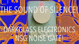 DARKGLASS ELECTRONICS NSG NOISE GATE | РАСПАКОВКА И ДЕМОНСТРАЦИЯ!