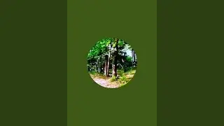 31e victoire de Vincent, pour ses 35 ans, sur les for&ecirc;ts tropicales, et les sports extr&ecirc;mes, TLMVPSP