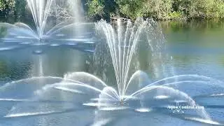 Плавающий фонтан Aqua Control серии Display Aerator с насадкой Spider & Arch