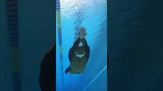 Monofin is every freediver's dream