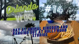 Orlando Vlog #14: Day At Animal Kingdom And Hanging Out At Hollywood Studios
